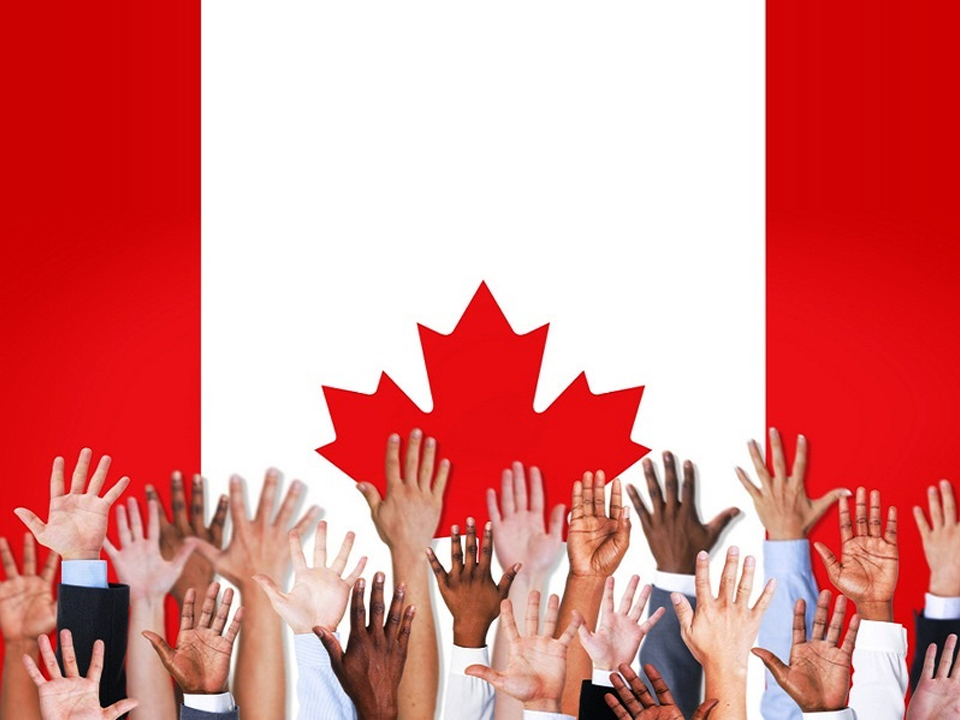 如何更快让枫叶卡更新照片