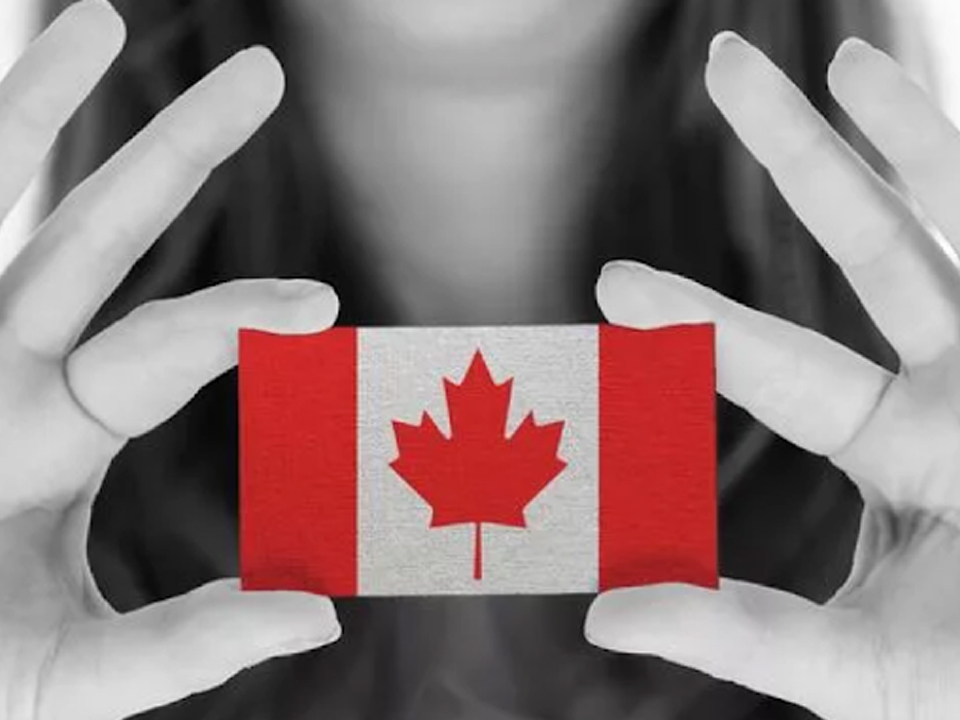 北美网络营销培训需要更多新移民?