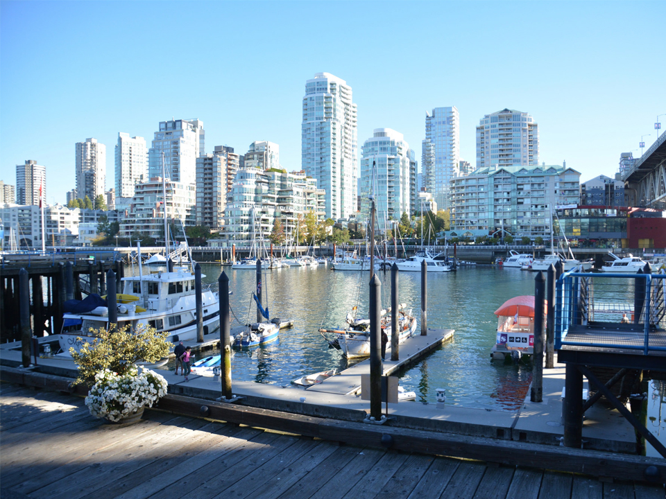 多伦多 SEO课程部分知识分析