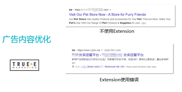 True-E-Marketing-Google-Ads-1