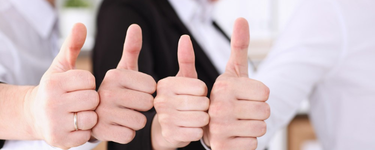 多伦多 电商网站开发网络营销的职能有哪些?