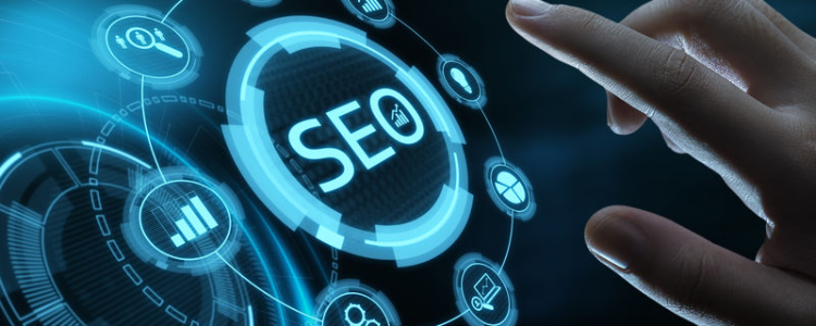 多伦多 网站开发网络推广