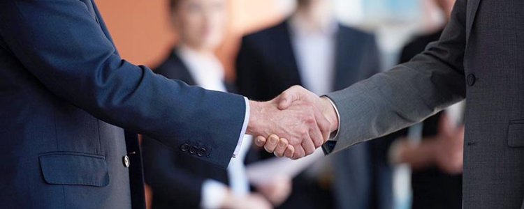 纽约网站设计品牌为何热衷环保营销?